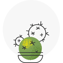 Độ tưới nước